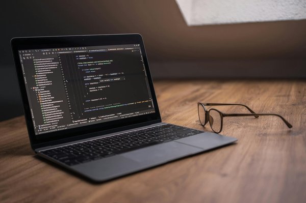 Welche Maßnahmen sind notwendig, um einen Labrador für die Therapiehund-Ausbildung vorzubereiten?