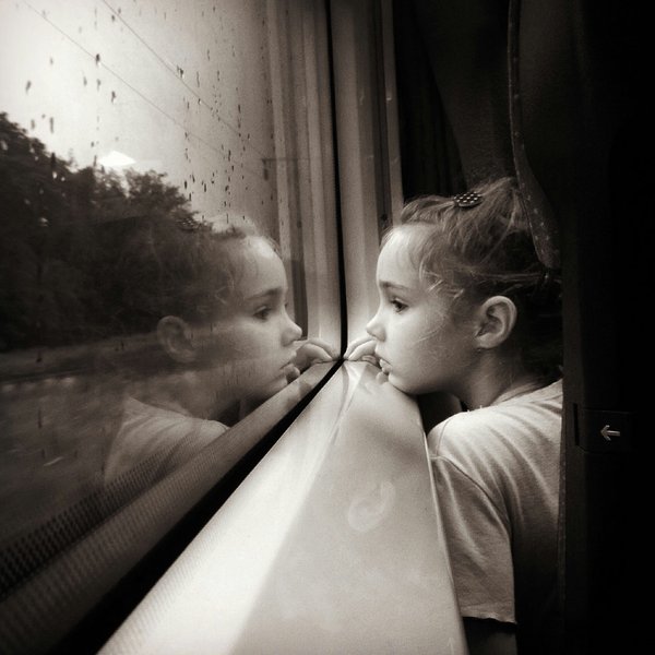 Was muss ich beachten, wenn ich mit meinem Haustier ins Ausland reise?