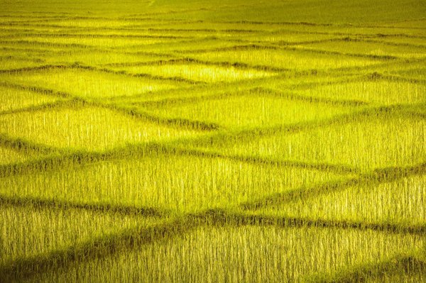 Inwiefern kann die Nutzung von Machine Learning in CRM-Systemen die Kundenbeziehungen vertiefen?